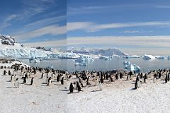 22D Panoramic View Of Gentoo Penguins On Cuverville Island With Mount Tennant, Anvers Island And Brabant Island On Quark Expeditions Antarctica Cruise.jpg